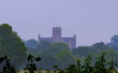 Cathedral seen across fields